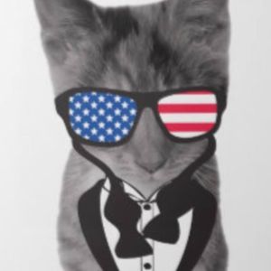 Meet your Posher, Brody